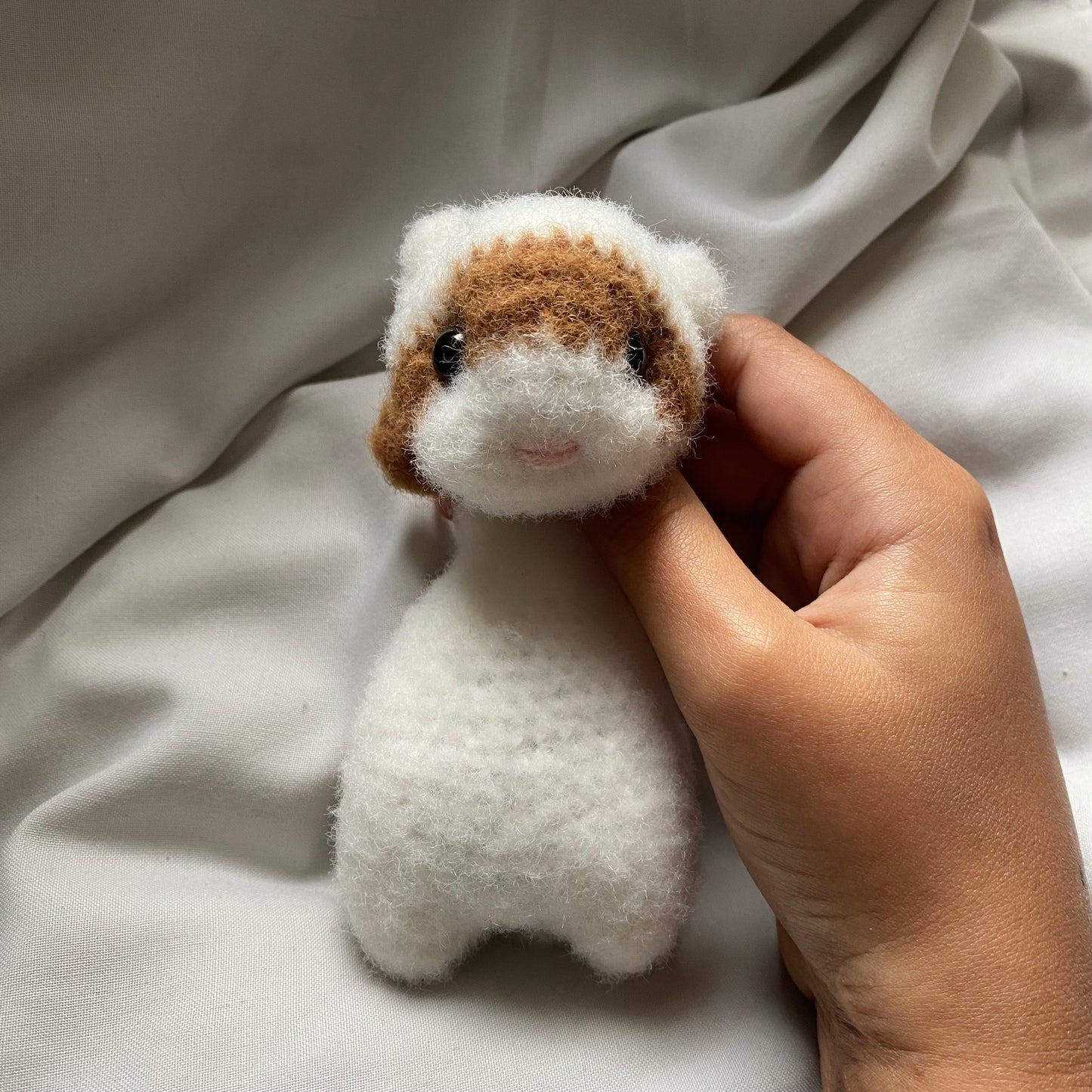 Baby Furet